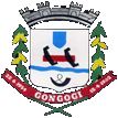 Foto da Cidade de GONGOGI - BA