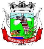 Foto da Cidade de DILERMANDO DE AGUIAR - RS