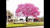 Foto da cidade de JUMIRIM